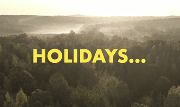 ¿PANELES ACÚSTICOS EN MIS VACACIONES?