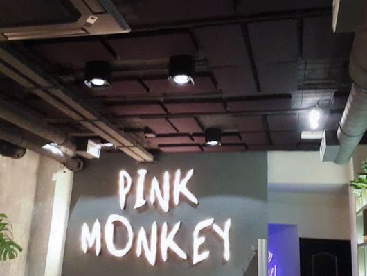 isinac-ponteareas-basotec-pink-monkey-2
